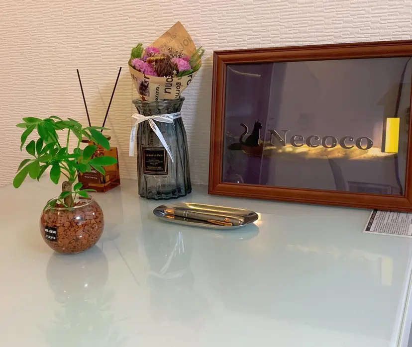 Necoco-ネココ -プライベートサロンの掲載