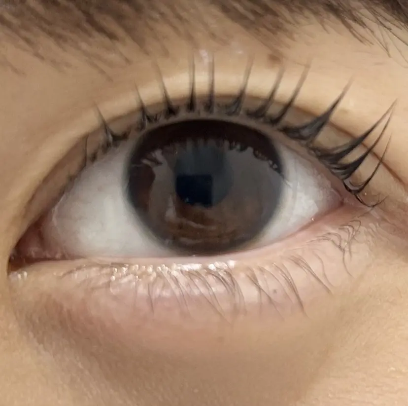 Tsuchiya (ツチヤ)の掲載