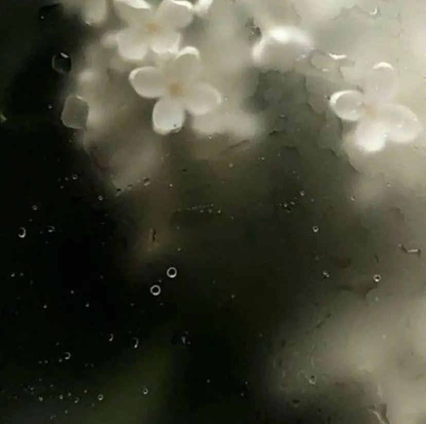 EYE LABO タナカの掲載