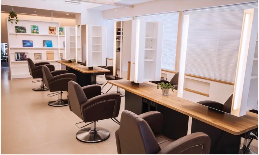 MINDS LINO Reinaの掲載