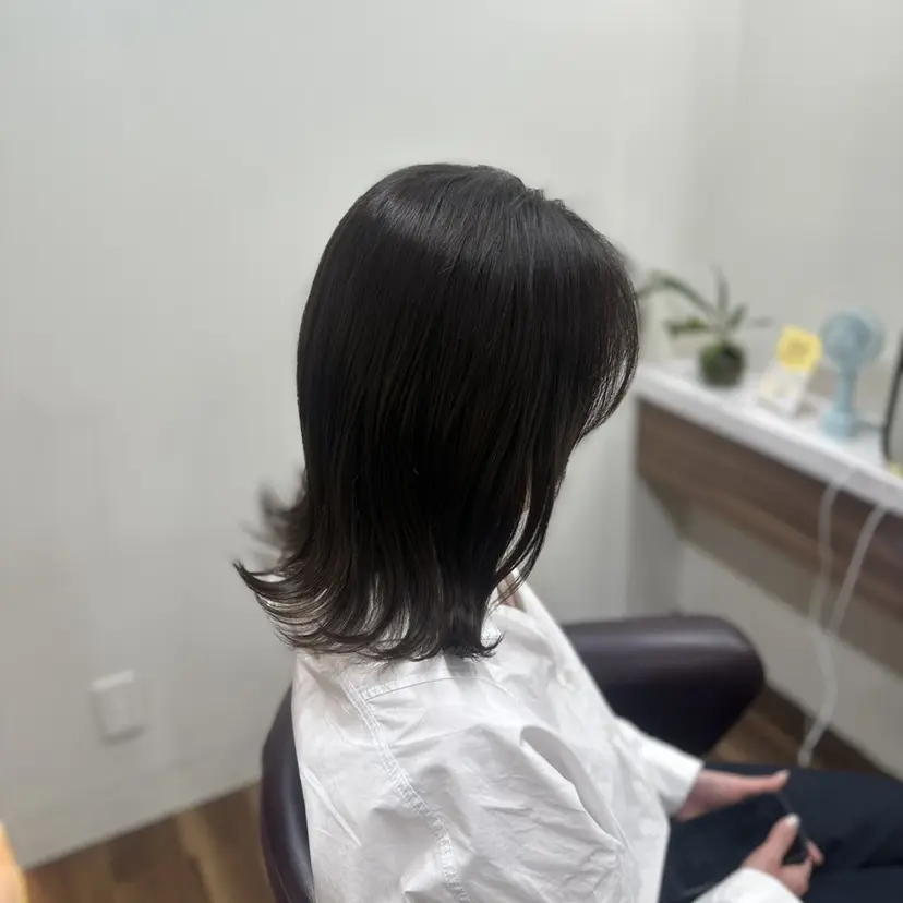 藤本 美咲の掲載