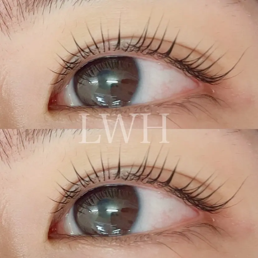 LWH eyelashの掲載