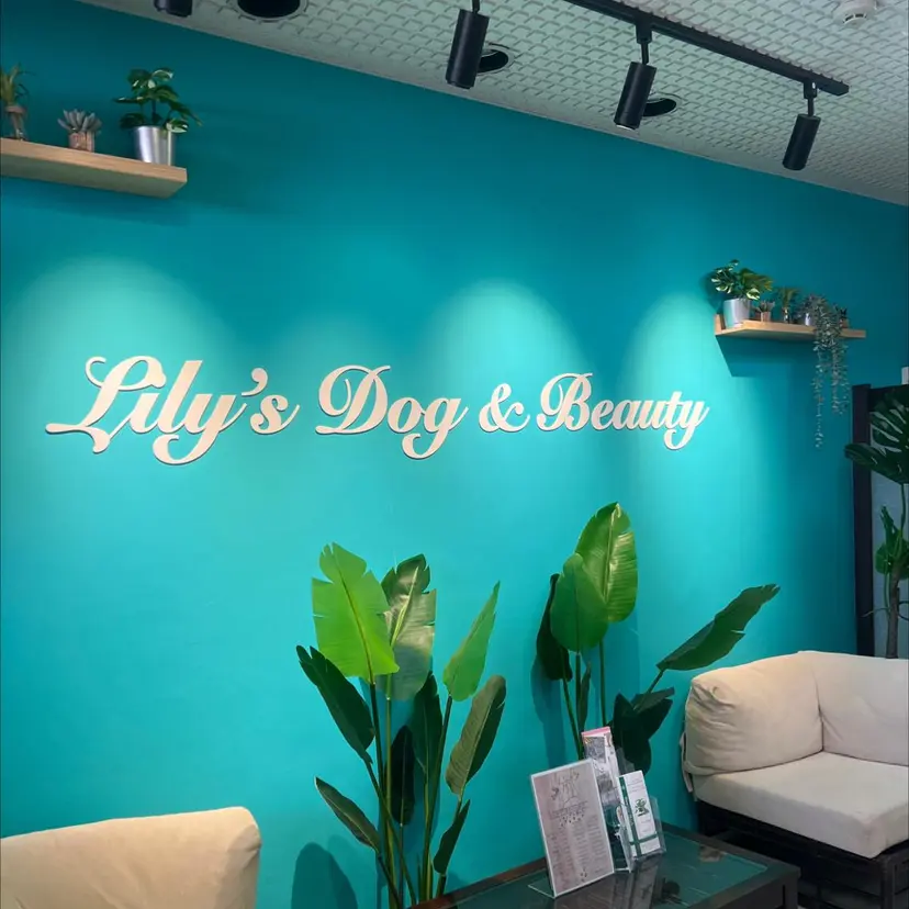 モデル募集 練習生の掲載