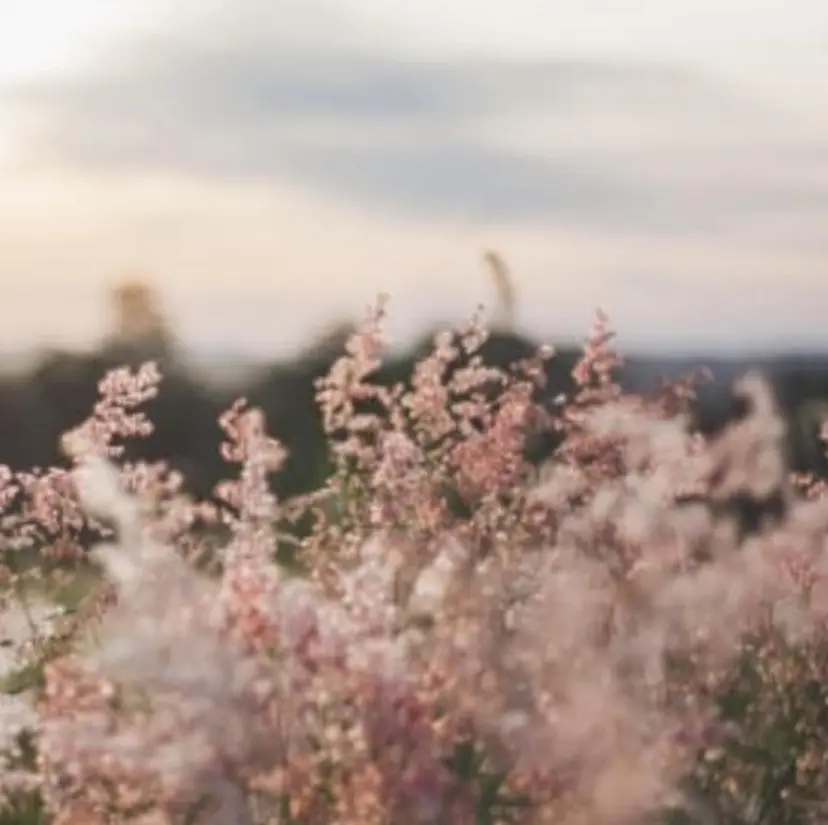 select eye Ryoの掲載