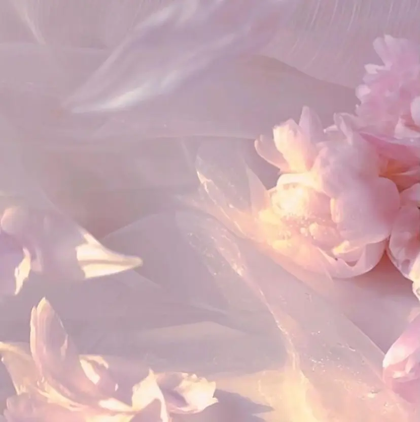 酒井 彩希の掲載