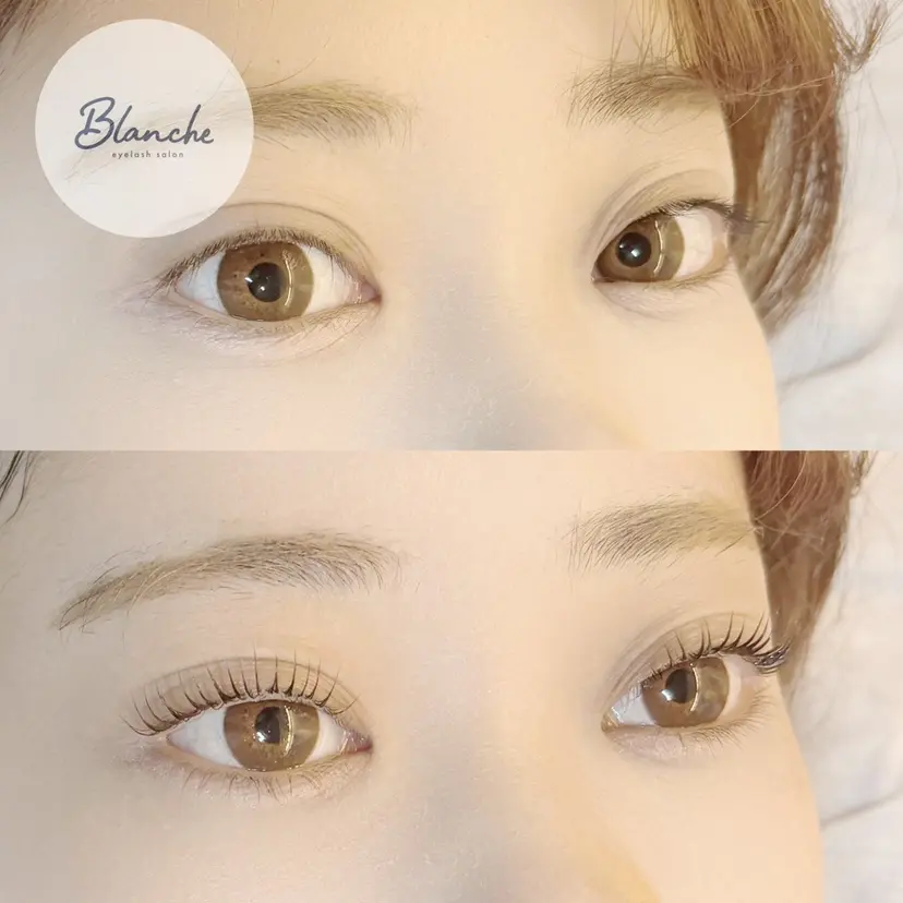 Blanche ツボイの掲載