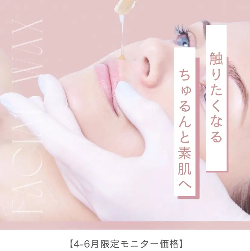 本村 ひとみの掲載