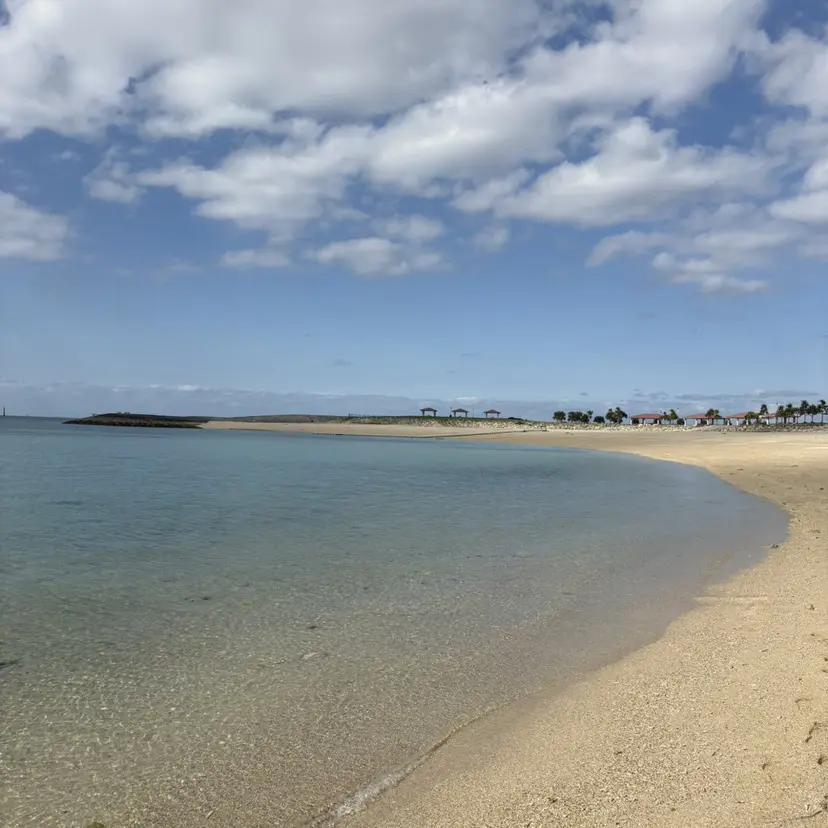 奥野 綾己の掲載