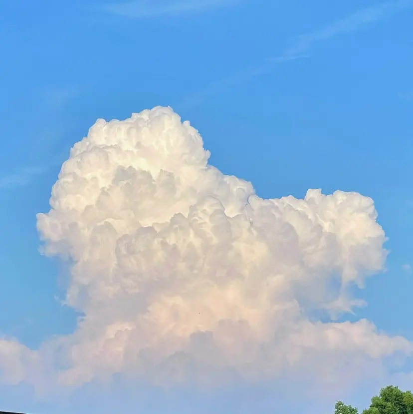 Maggie りな.(モデル募集の掲載