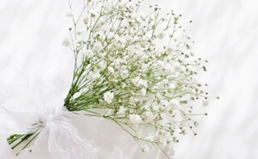 VERY天王寺 関口の掲載