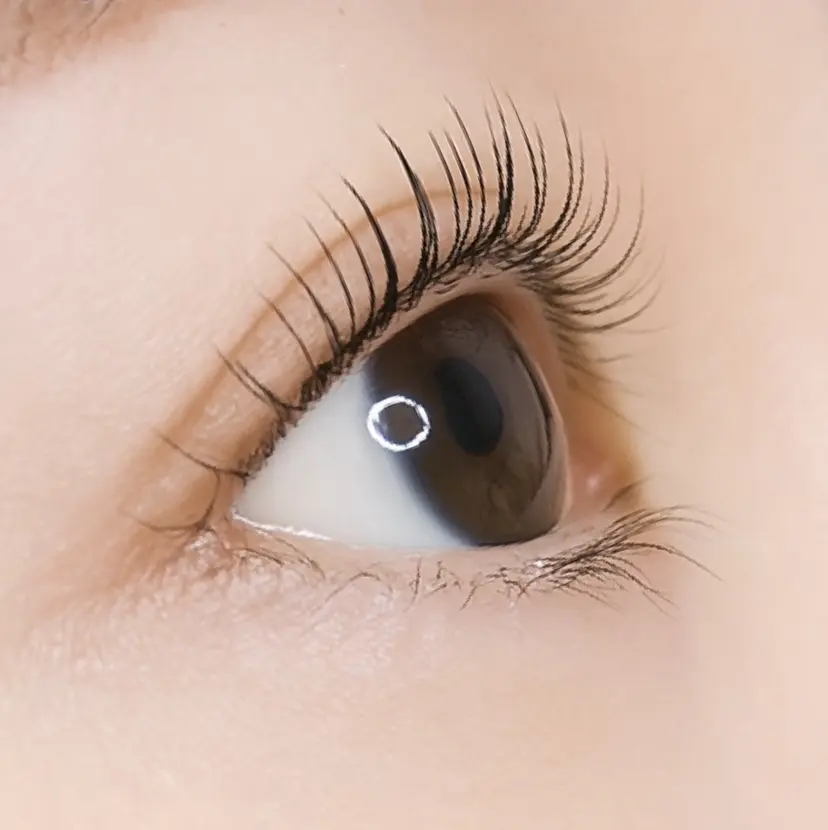 ドルチェ 本八幡の掲載