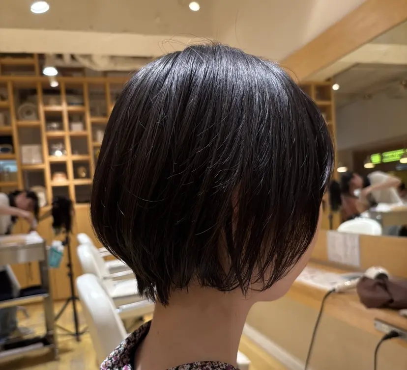 高橋 あゆみの掲載