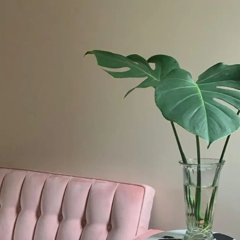 alice tokyo鈴木★の掲載