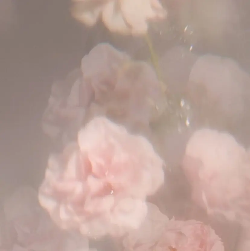 矢作 望乃香の掲載