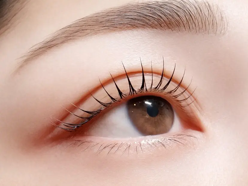 佐久間 春菜の掲載