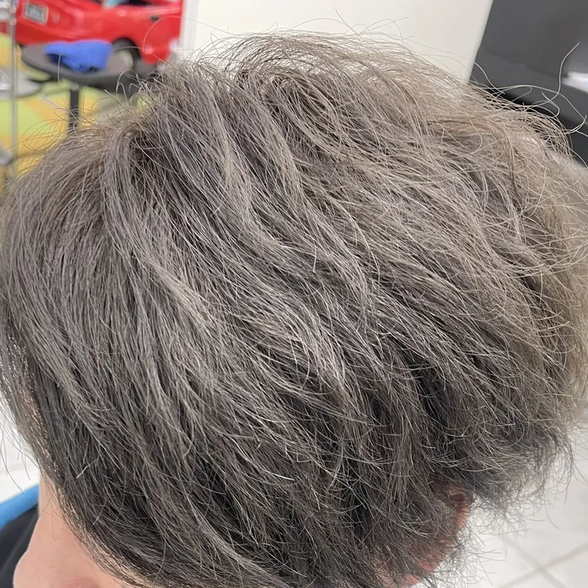 向田 真也の掲載