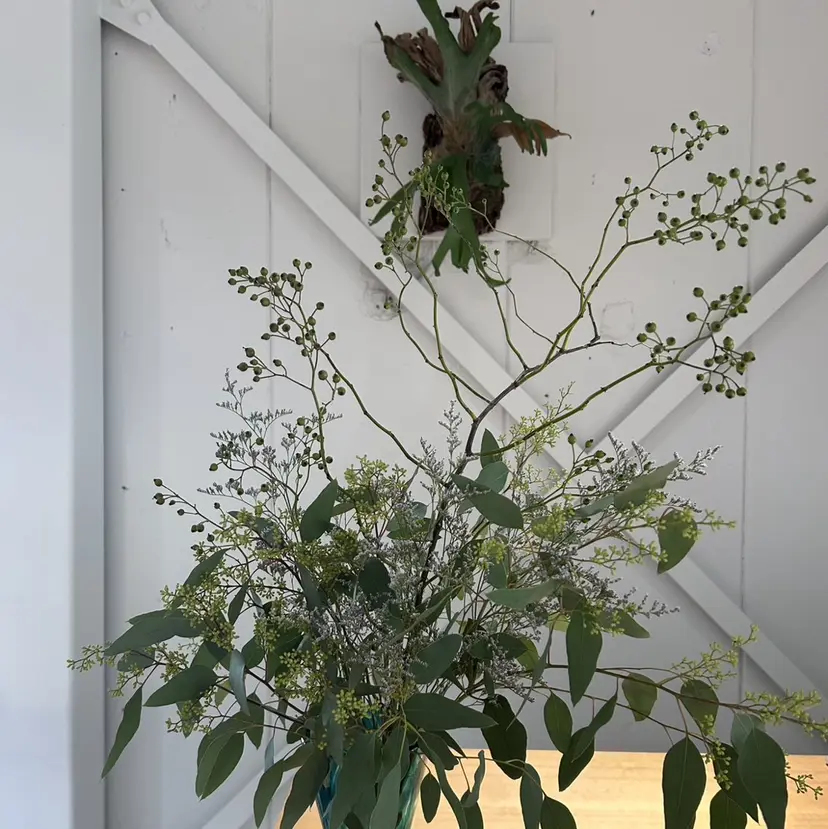 明瀬　咲良🩰 透明間カラーの掲載