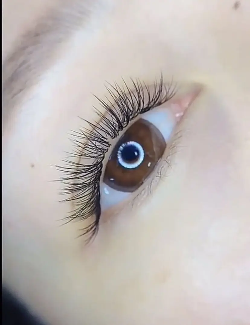 Max eyelash池袋の掲載