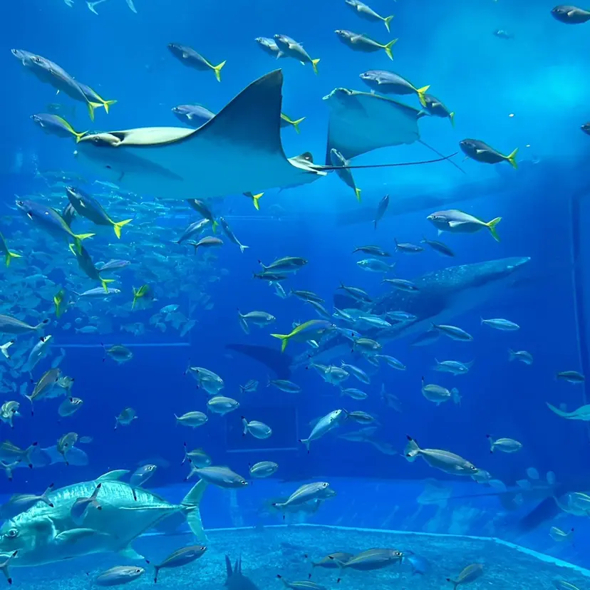 eyelash salonmarinの掲載