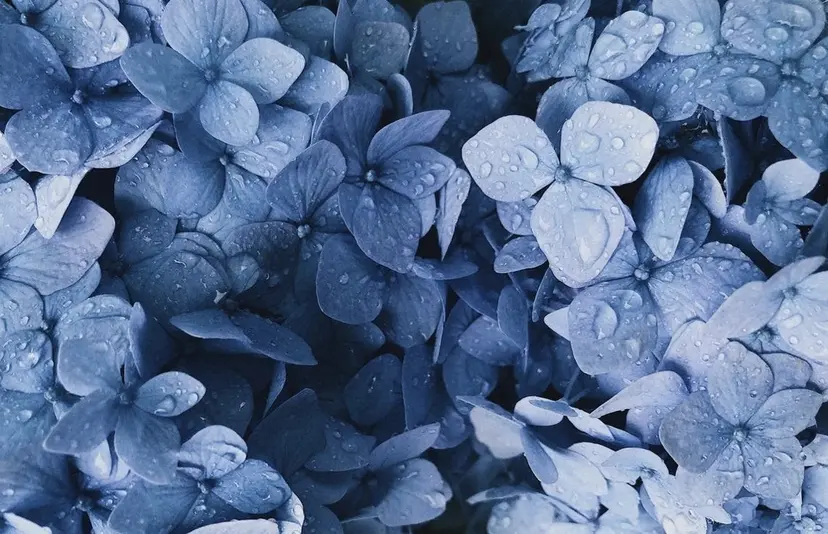 ハイトーン/髪質改善 RENA🦢🫧の掲載