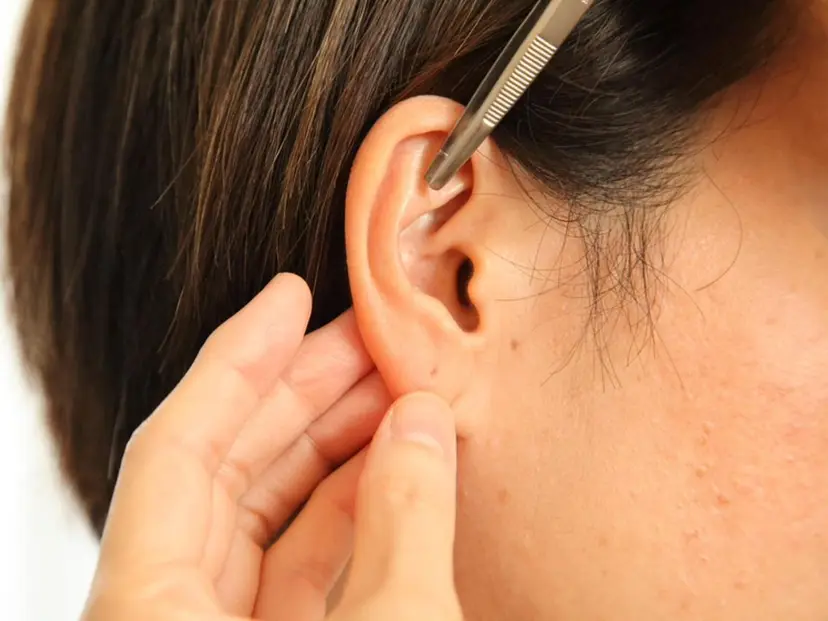 久保 咲野子の掲載