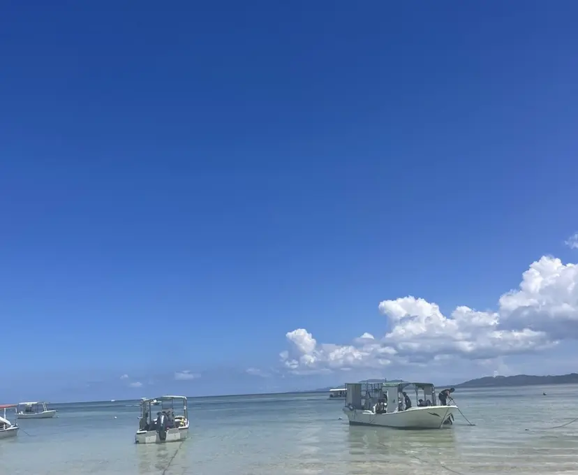 hina 🩶🎀の掲載