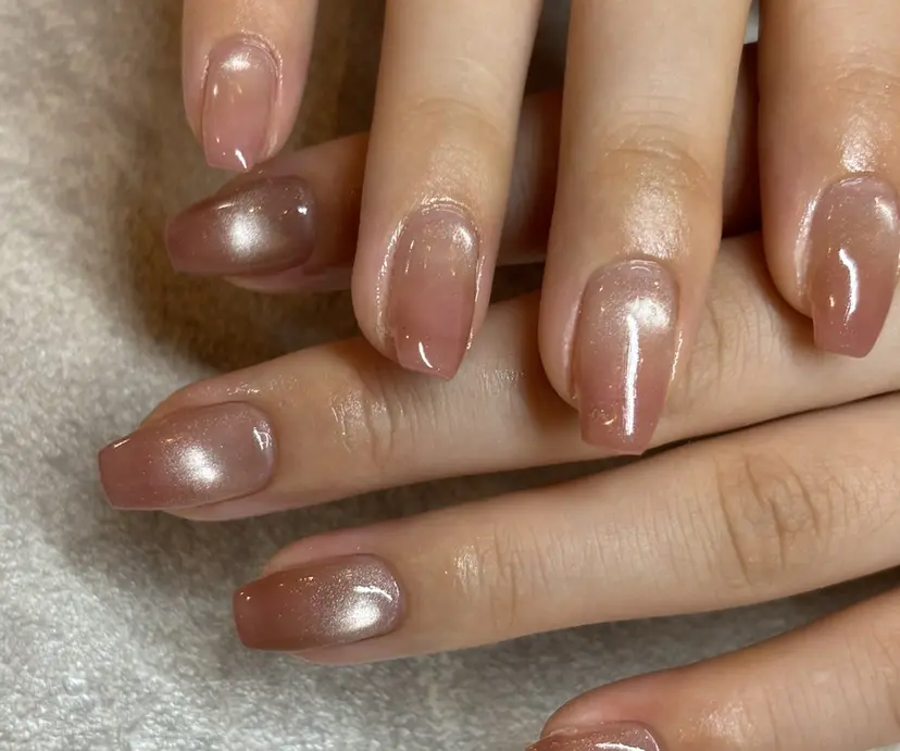 加藤 花菜の掲載