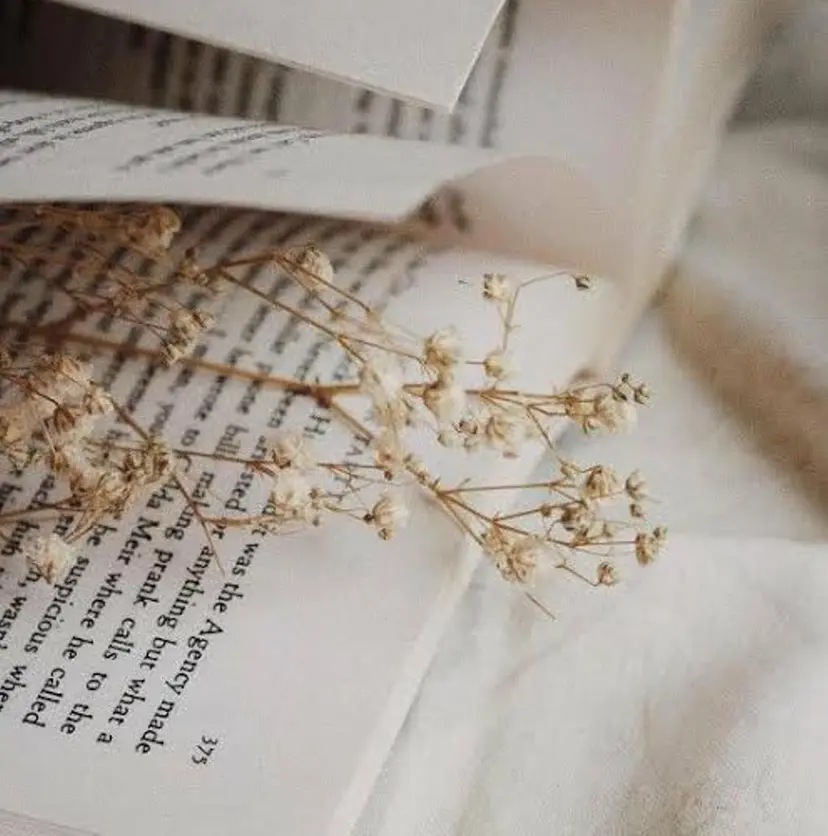 鈴木 愛美☃の掲載