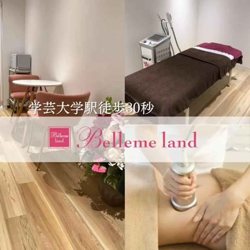 学芸大学 ベルミーランドの掲載