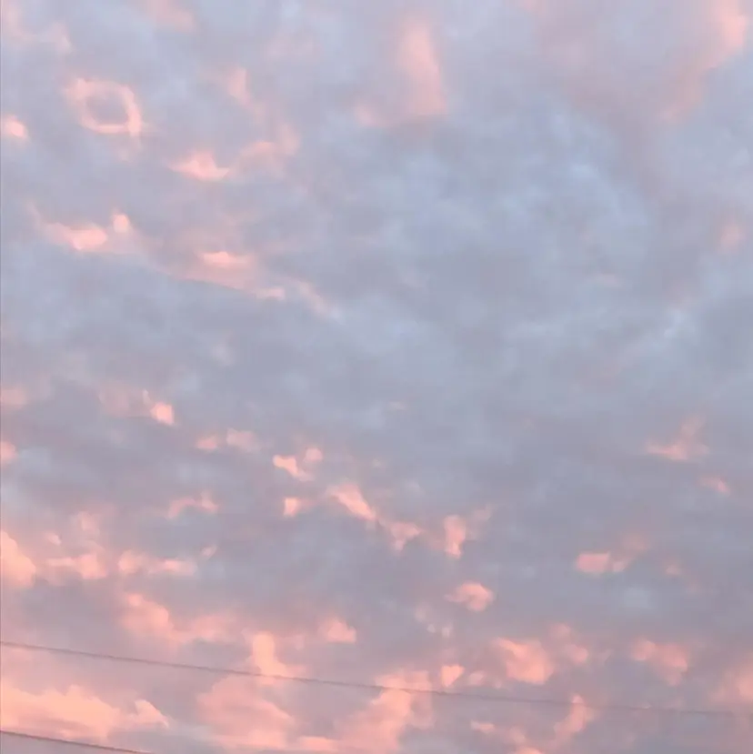 アサイ サラの掲載