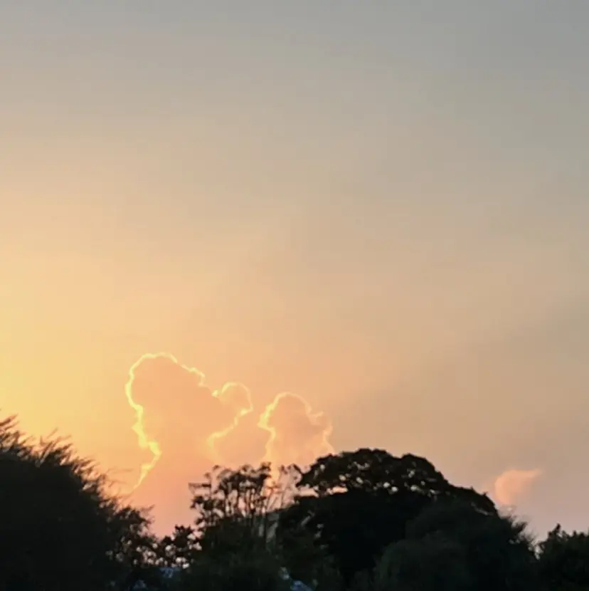 🧶根本 風鈴🧶の掲載