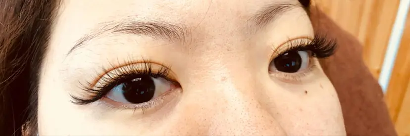 中井 日出子の掲載