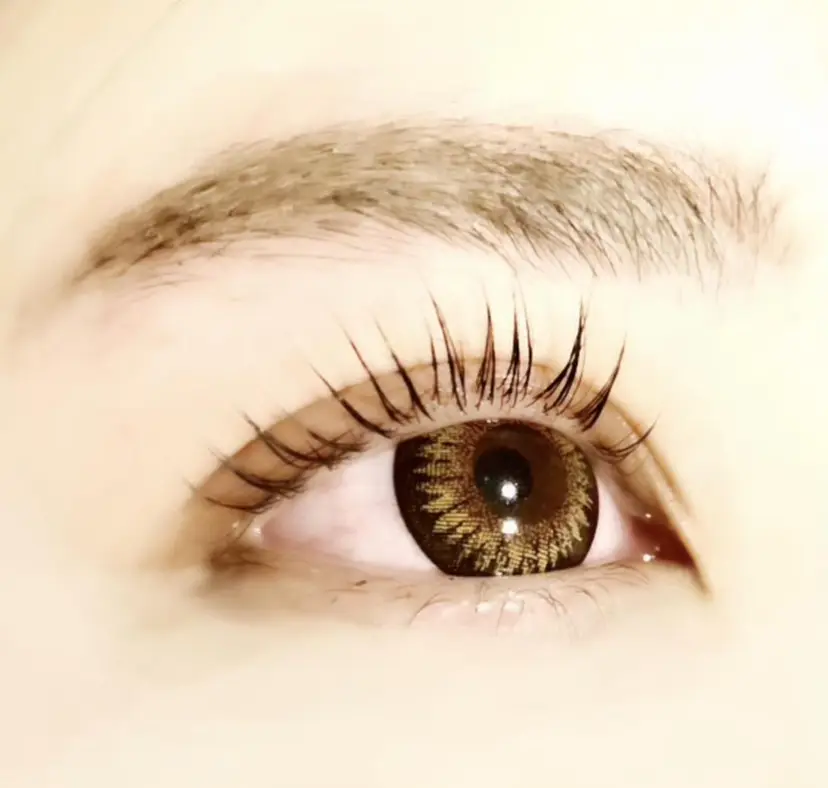 MElulu YUKIの掲載