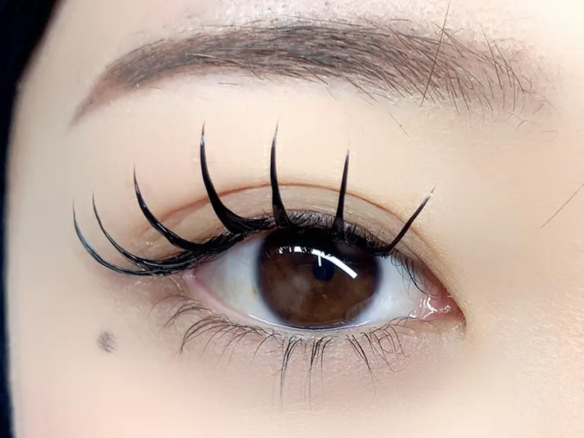 💙🐈 ayaの掲載