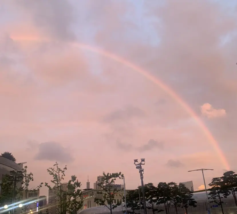 古澤 優香の掲載