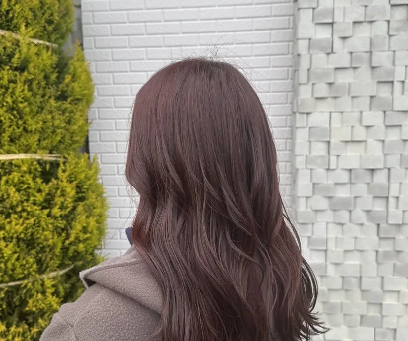 かとう りいなの掲載