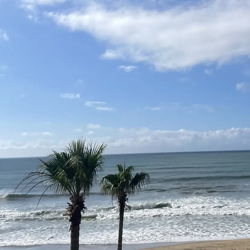 traffic🦋 佐藤由依子の掲載