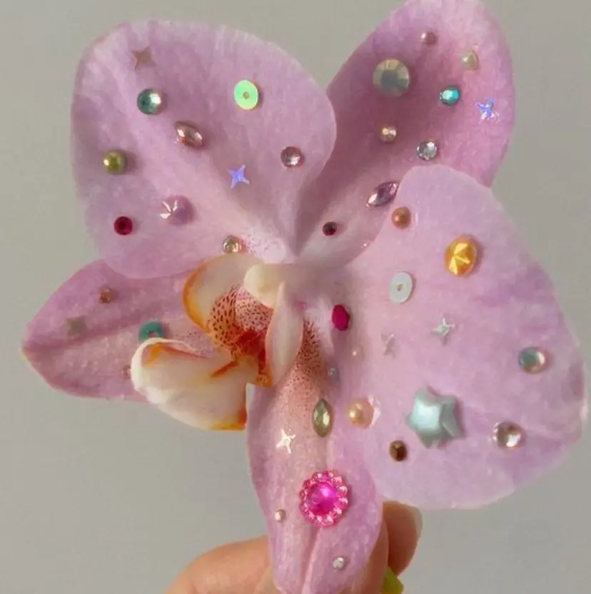 Aulu’b@ ayakaの掲載