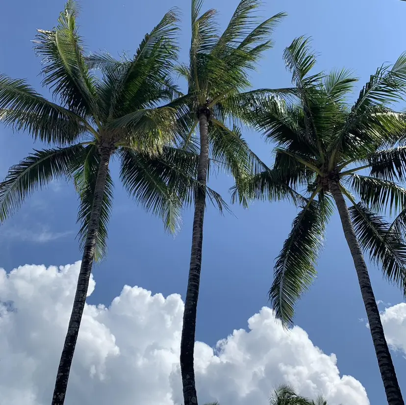 吉祥寺kasumi 🌛eye/browの掲載