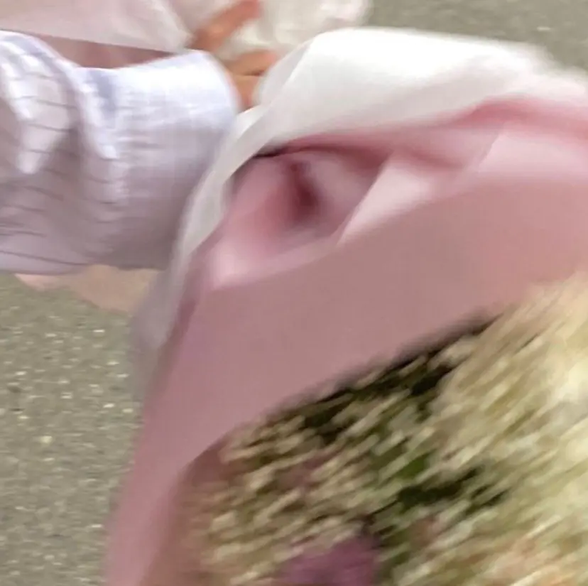 🎀ダブルカラー/ ピンク×ガーリー🎀の掲載