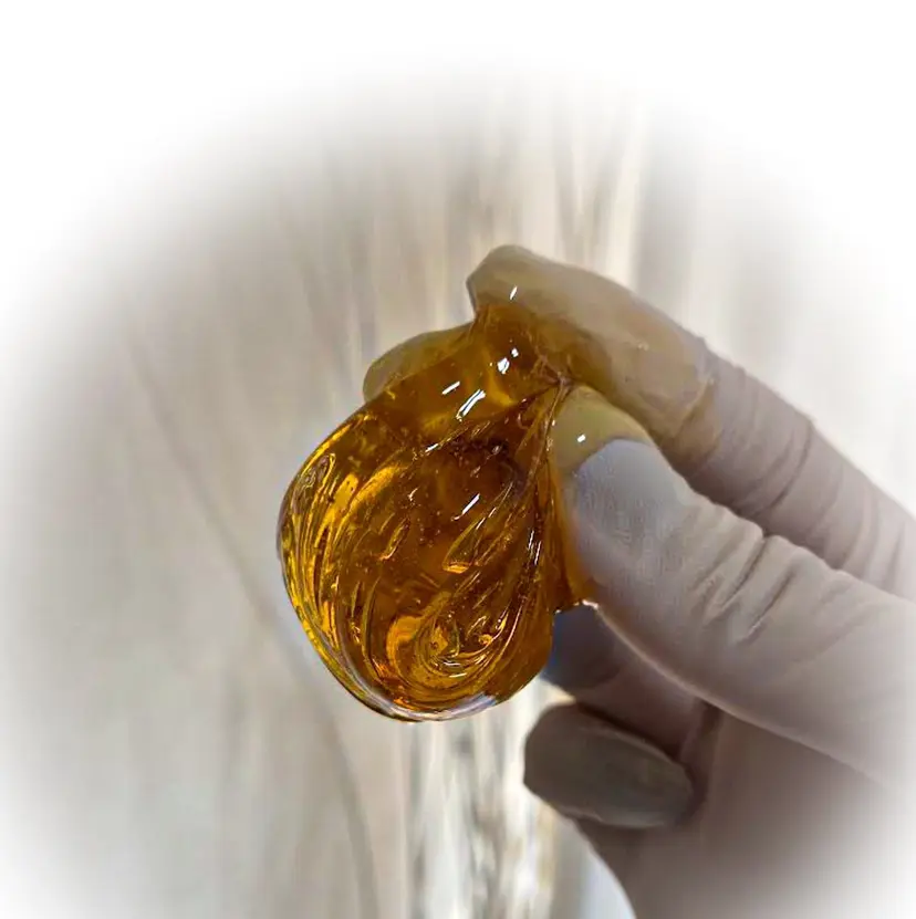 シュガーリング 【MARLS】の掲載