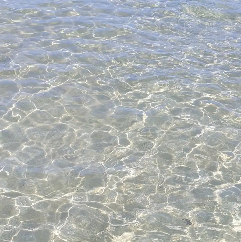 Lily SHIINAの掲載