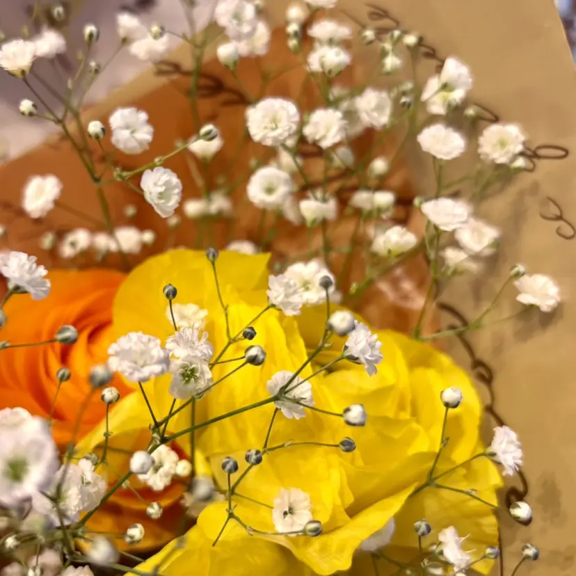 焼津市三和 MASUDAの掲載