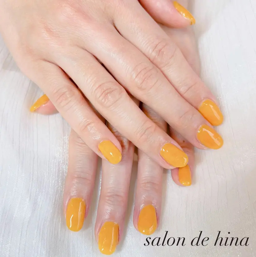 salon de hina  AIの掲載