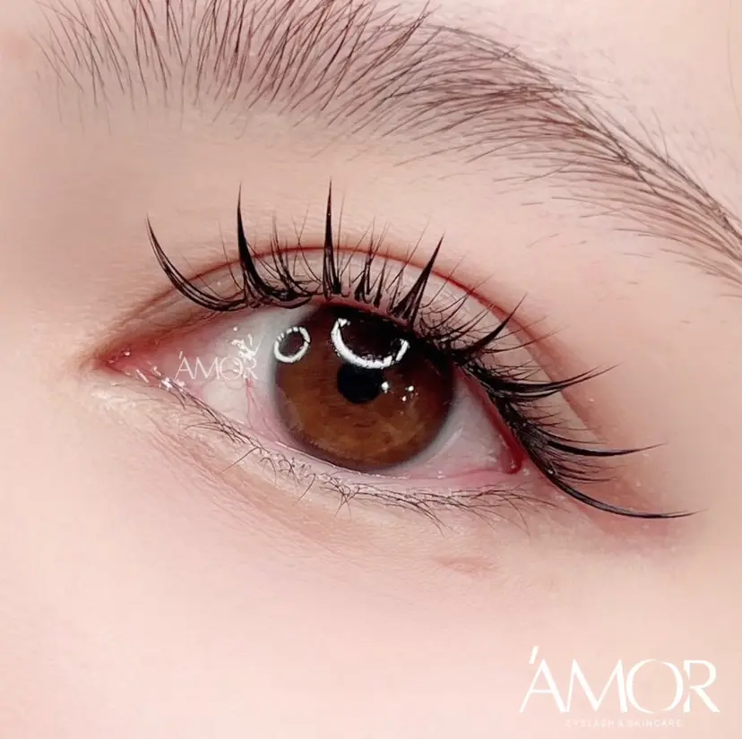 AMOR EYELASHの掲載