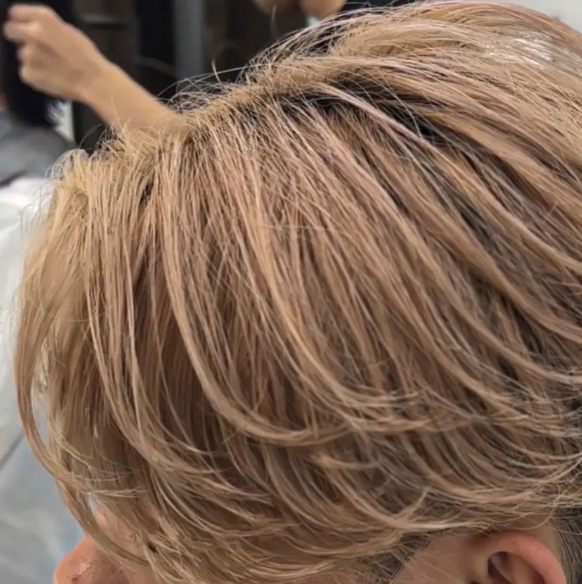 佐々木 輝の掲載