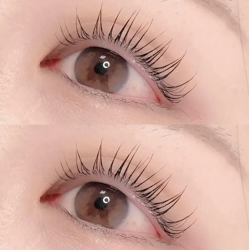 中村 まゆの掲載