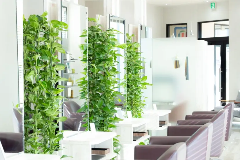 ブレス渡辺 康介の掲載