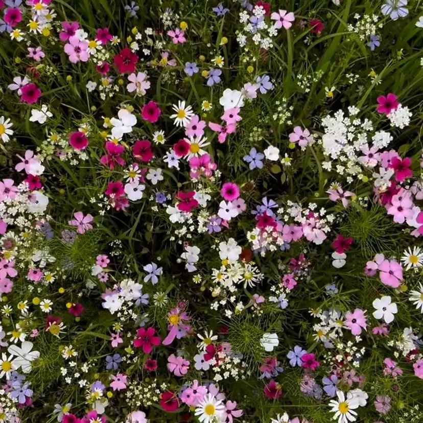 鈴木 京子の掲載