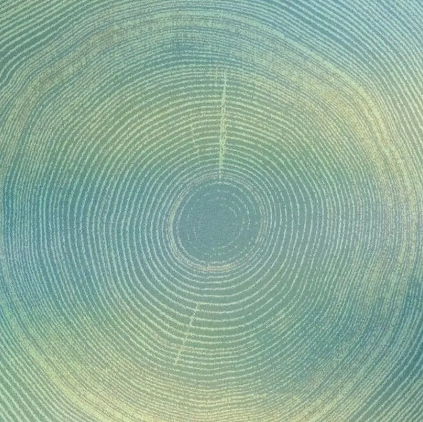 nailsalon uの掲載